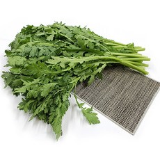 야채왕 쑥갓 1kg, 1개