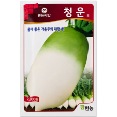 팜한농 청운무 종자 2000립 고소득 가을무 짧은재배 단단한육질 조기출하 가능 품종 팜한농, 1개
