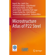 (영문도서) Microstructure Atlas of P22 Steel Paperback, Springer, English, 9789819901197