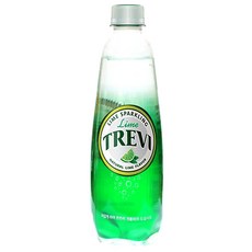 롯데칠성음료 트레비 라임 펫, 500ml, 2개
