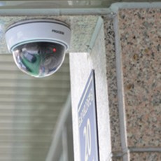 안스인홈 가짜CCTV 돔형 모형CCTV
