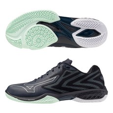 美津濃 71ga258465 羽毛球鞋 WAVE CLAW EL 2 寬楦版 羽球鞋