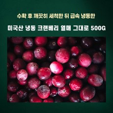 민트팬트리 미국산 냉동 크랜베리 열매 그대로 500G 신선하게 수확 후 급속 냉동, 1개