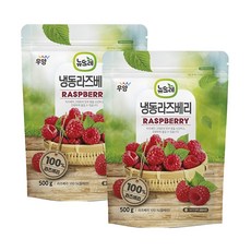 뉴뜨레 냉동 라즈베리 500g 칠레산, 2개