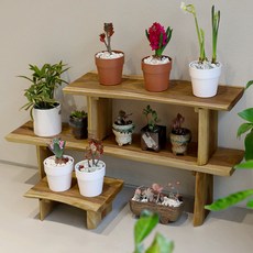 인테리어 원목 선반 20T 티크 통원목 화분 받침대 9종, 티크 원목화분진열대 (30cm 대), 1