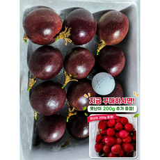 [국내산] 패션후르츠 Passion fruit 백향과 [은혜와영광이], 13~16개, 1kg