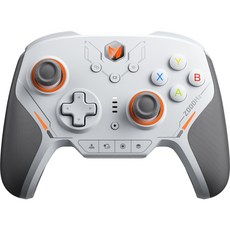 墨將 迅龍2 Switch副廠手把 可記憶按鍵 連發掛機 陀螺儀 全機械按鍵 超低延遲, 1個, TMR霍爾版-搖桿壽命較長適合3A大作