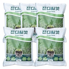 잔디씨앗 3kg 30평용 다년생 톨훼스큐 파야테 경사면 법면녹화 사방공사용 가정용 정원 아파트 골프장 경기장 잔디, 5개