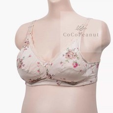 코코피넛 수유브라 수유브라자