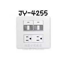 JYE 精密雙聯螢光開關接地插座, 1個, 二螢光開關二接地插座