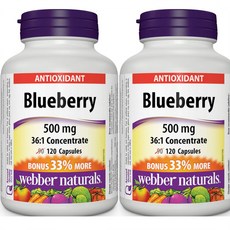 고효능 블루베리 영양제 36:1 농축 슈퍼푸드 안토시아닌 항산화제 2세트 1통120캡슐 캐나다직배송, 2개, 120정