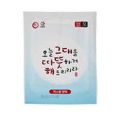 해피데이 파스형핫팩 -M 포켓용 핫팩 /파스형핫팩/손난로핫팩/핫팩 (Araium), 01 A.파스형