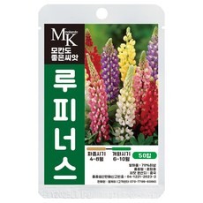 모칸도 좋은씨앗 루피너스 씨앗 50립 꽃씨 꽃씨앗, 1개