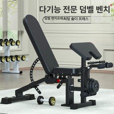 백익스텐션 엉덩이 운동 코어 척추기립근 기구 허리 홈짐 가정용 체어 옆구리 익스텐션 헬스, AC516 덤벨벤치(프리처형), 기본 모델명/품번