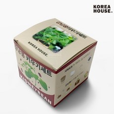 강낭콩 키우기세트/화분키우기 꽃심기 씨앗심기 재배세트