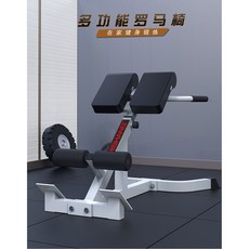 이두 프리쳐컬 머신 백익스텐션 컬바 거치대 바벨랙 홈짐 헬스장, V356
