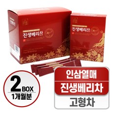 인삼열매 진생베리 차 헬시위듀 인삼차 액기스 농축액, 2박스, 50개입, 3g