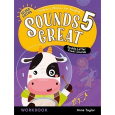 Sounds Great 5 Workbook (2E)