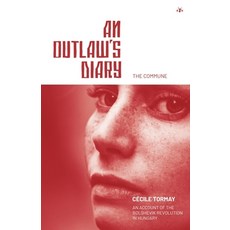 (영문도서) An Outlaw's Diary Paperback, Antelope Hill Publishing, English, 9781956887280