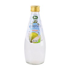해피웰 코코넛워터 290ml, 1개