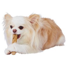 Petio寵物咖啡咬木 狗玩具 狗磨牙 耐咬潔牙, 1個