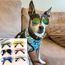 디어 반려동물 안경 강아지악세사리, 4-애완선글라스-노랑