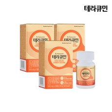 [테라큐민] 테라큐민 커큐민 퀘르세틴 브로멜라인 폴리페놀 (3개월분), 3개