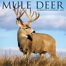 (영문도서)Mule Deer 2026 12 X 12 Wall Calendar Spiral, Willow Creek Press Calendars, English, 9781549252051