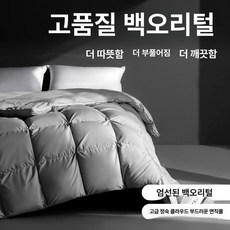 거위털 구스이불 호텔용 겨울용 화이트 두꺼운 사계절용 이불, 클래식그레이
