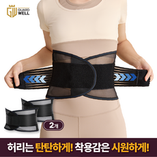 가드웰 고탄력 통기성 메쉬 허리보호대, 블랙, 2개