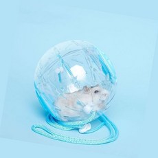 에버템즈 햄스터 헬스볼 햄스터운동장난감 햄스터사이클, 블루