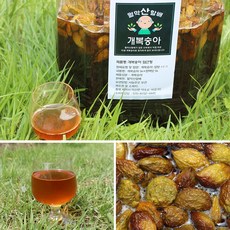 2025 자연의선물 제천 개복숭아 담근청, 10kg, 1개