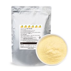 앤네이처 순수 자연 동결건조 망고파우더, 300g, 1개