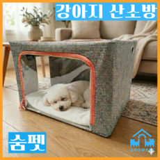 숨펫 SoomPet 강아지 산소방 가정용 산소방기계 발생기 케이지 호흡기 세트 추천 구매 애견 고양이 렌탈 캐리어 다리절뚝 슬개골 보호기 보호대 알러지검사비용 반려동물용품 88, 1개, 그레이 100L