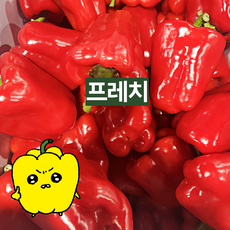 프레치 국내산 아삭하고 싱싱한 홍피망, 3kg (보통), 1개