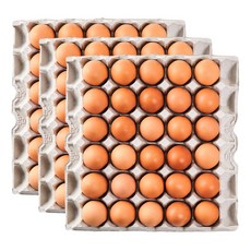 [더싱싱] HACCP 구운계란 구운란 대란, 90구, 1개