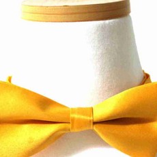 남아 정장 노란색 보타이 유아넥타이