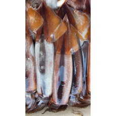 국내산 생물 오징어 1kg 횟감 제철 별미 총알오징어 통찜 볶음 무국 전골 무침, 1개, 생물 총알오징어 1kg(18-24미)
