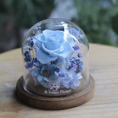 Bloom & Grace 永生花玻璃罩 藍色玫瑰, x
