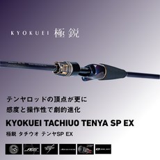 源豐釣具DAIWA 25新款極鋭タチウオテンヤSP EX TENYA天亞竿 極銳天亞竿 船釣竿 白帶魚竿, 82-174