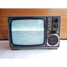 TV 송출 카메라 오래된 14인치 흑백 브라운관 빈티지, C. 14인치 눈송이