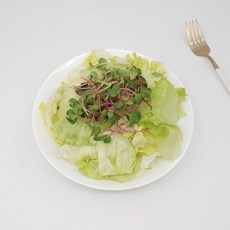 의령농산 유알팜국내산 어린잎믹스 샐러드 1주5일구성