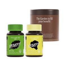 베지핏 케일 콜리플라워 4분할통 상쾌한 모닝 팩, 2세트, 36g