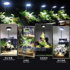 AC草影 微型植物生態照明燈 5W 蛇管設計, 1個