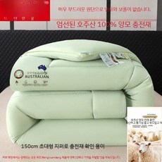 호주산양모이불 천연양털이불 알파카이불 100 사계절용 봄가을 겨울따뜻한 겨울 싱글 더블, 200x230cm 4kg 겨울 이불, 라이트 그린 +  클래스 A 클라우드 벨벳 원단