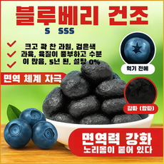 무설탕 블루베리 야생 과일 말린 것 설탕 얼룩 큰 과일 노소 누구나 말린 것 옥스포드 캐나다 말린 블루베리 층층질질검사 영양이 풍부하다, 50g/봉지*2
