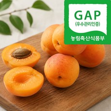 (자연마을) 국내산 GAP 노지 살구, 1개, 500g(10-13입)