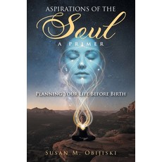 (영문도서)Aspirations of the Soul: A Primer-Planning Your Life Before Birth Paperback, Strategic Book Publishing, English, 9781634103749