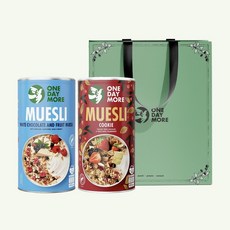 [원데이모어] 뮤즐리 2개 세트 선물 그래놀라 오트밀 선물세트 쇼핑백포함, 화이트초코후르츠+쿠키, 1개, 400g
