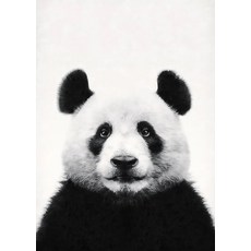 흑백 야생 동물 캔버스 벽 예술 사자 팬더 코끼리 말 늑대 미니멀리스트 초상화 프레임, E. 50x70cm Unframed